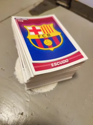 Colección Panini FC Barcelona 2007/2008 Cromos