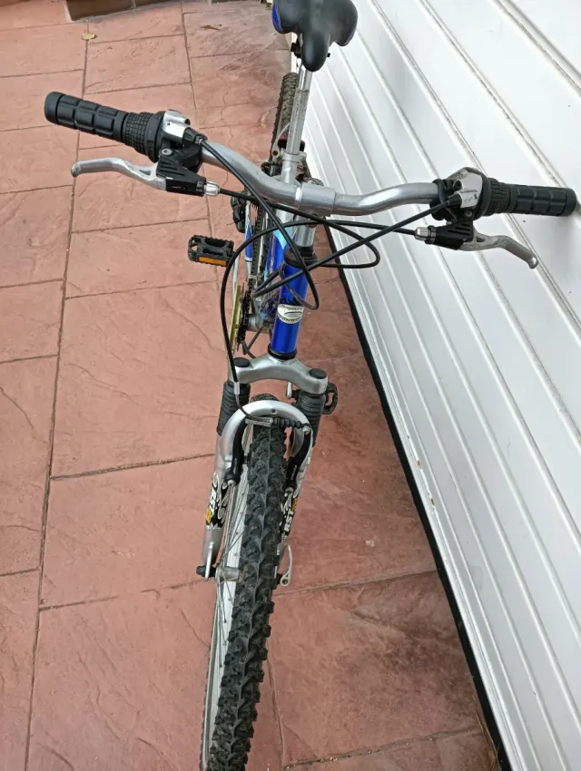 Bicicleta COLUER TYPE 24