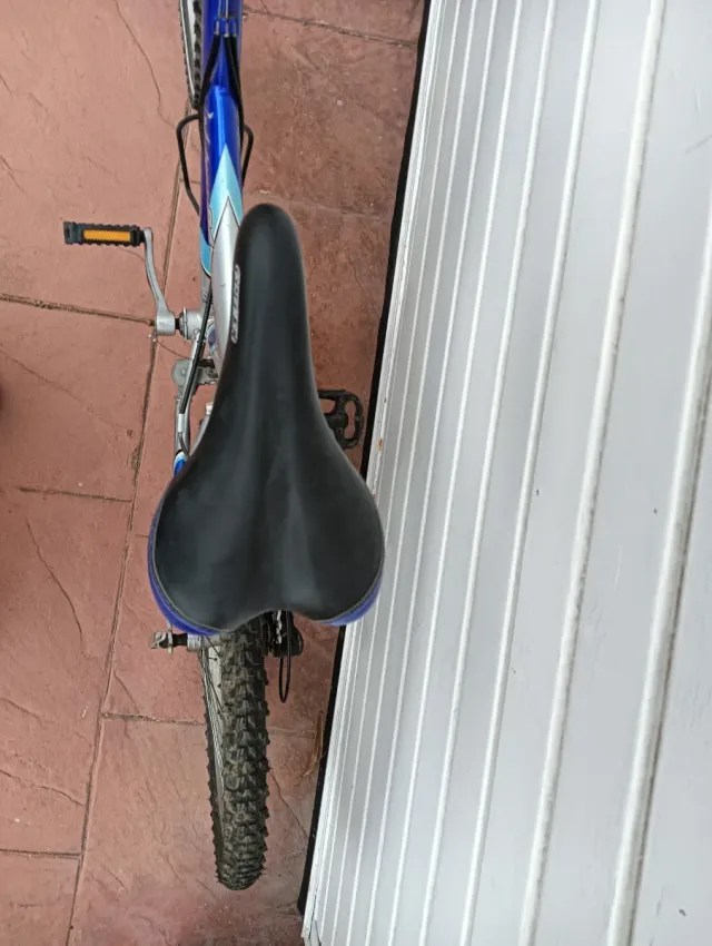 Bicicleta COLUER TYPE 24