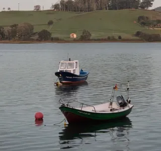 Barco de pesca azul y blanco