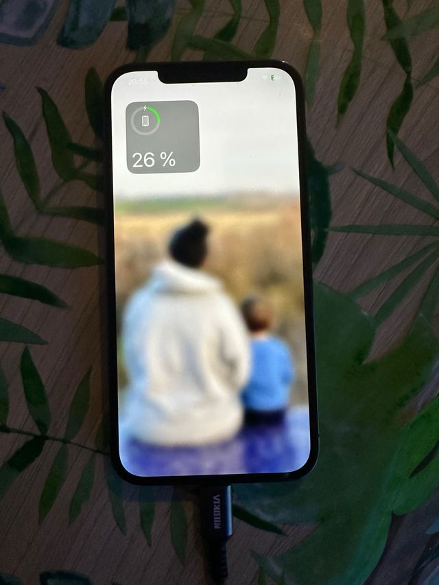 iPhone 12 Pro Max 128GB