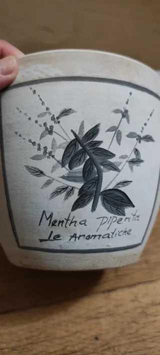 Vaso terracotta grezza Mentha Piperita.