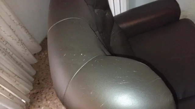 Sillón de piel marrón oscuro