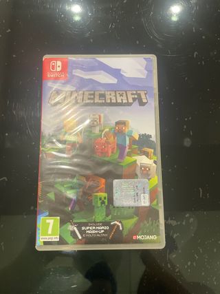 Minecraft Nintendo Switch