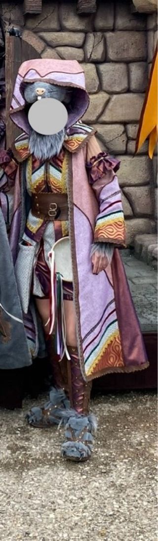 Costume di Carnevale. IL PIfferaio di Hamelin