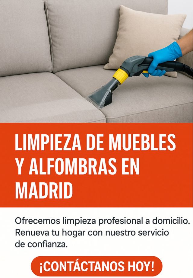 Limpieza de muebles y alfombras en Madrid