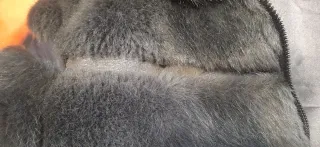 Pellicciotto ecologico grigio con cappuccio