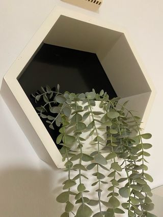 Due Scaffali Esagonali Beige e Nero