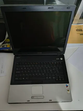 Sony Vaio VGN portátil plata