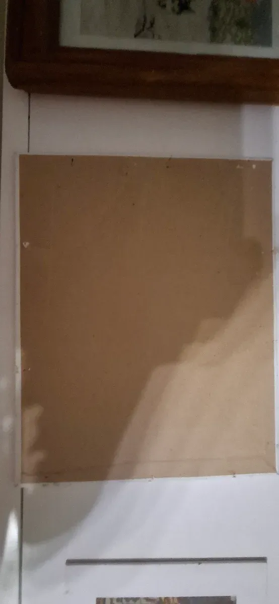 Cuadro Punto de Cruz Cisnes Multicolor