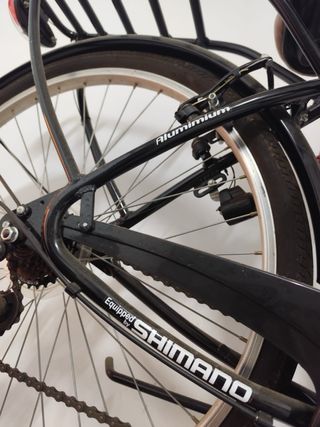 Bicicleta Paseo Negra NORDIC BIKE