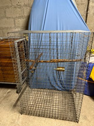 Jaula grande loro/guacamayo