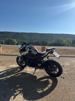 Kawasaki Z900 Full 2022 125cv
