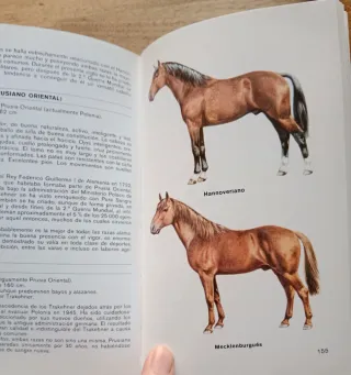 Lote cuidar de Caballos:Libros y DVDs de Caballos