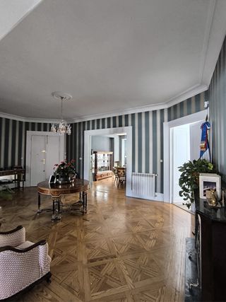 Papel pintado y pinturas