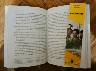 La Celestina de Fernando de Rojas.