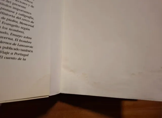 EL CLAN DEL OSO CAVERNARIO