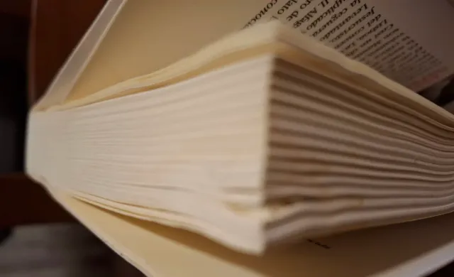 EL CLAN DEL OSO CAVERNARIO