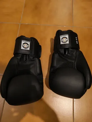 Espinilleras y guantes Muay Thai DE