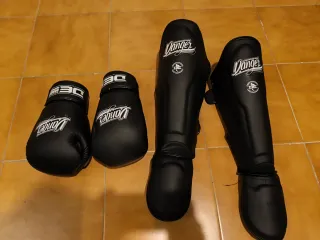 Espinilleras y guantes Muay Thai DE