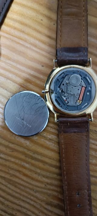 Reloj Viceroy Marrón y Dorado