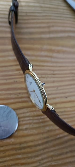 Reloj Viceroy Marrón y Dorado