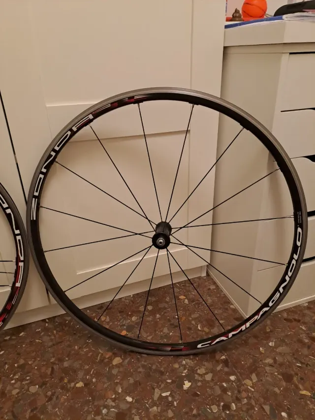 Ruedas Campagnolo Zonda