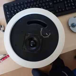 Altoparlante Bose FreeSpace DS16F