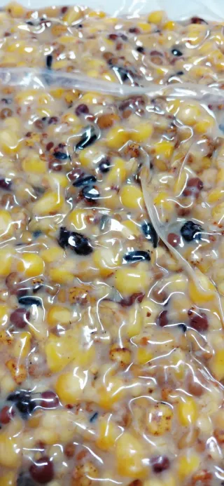 Cebo Carpfishing Spod Supremo