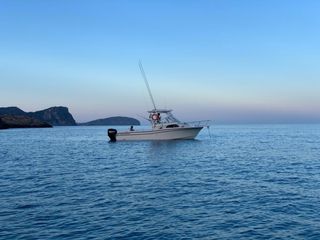 Barco pesca Grady White 282 Sailfish