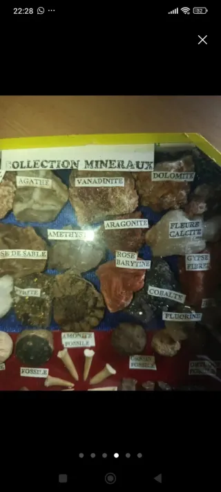 Collezione di minerali e fossili rari
