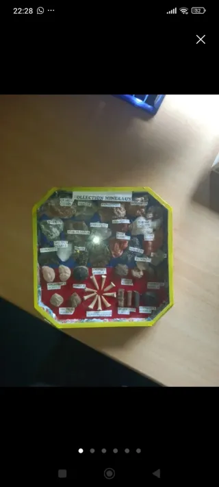 Collezione di minerali e fossili rari