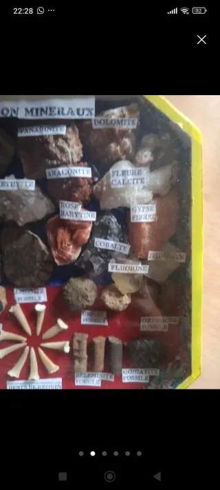 Collezione di minerali e fossili rari