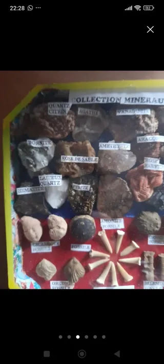 Collezione di minerali e fossili rari