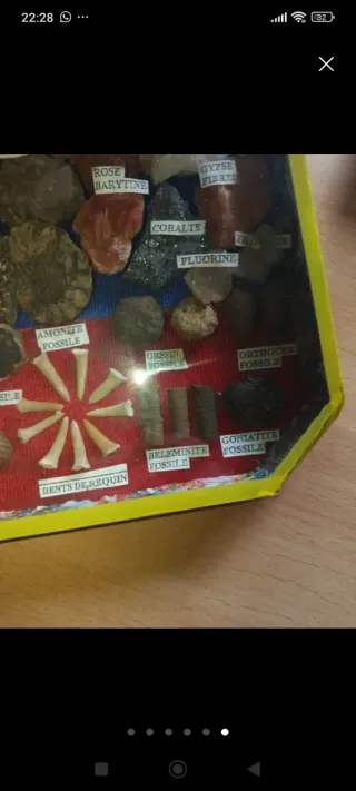 Collezione di minerali e fossili rari