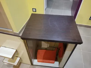 Máquina de coser Refrey Transforma