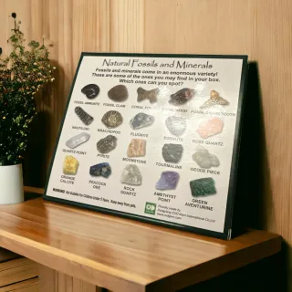 Collezione Minerali e Fossili