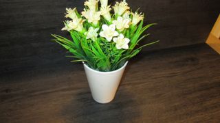 Canon IXUS 70 Cámara Digital 7MP Zoom Óptico