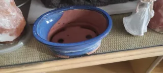 Bonsais bandeja azul y dos budas para adornar