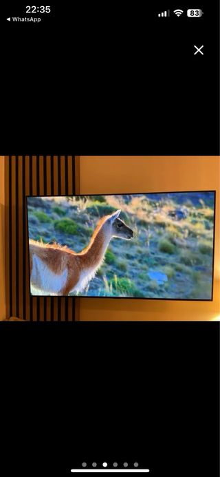 TV LG OLED 55”