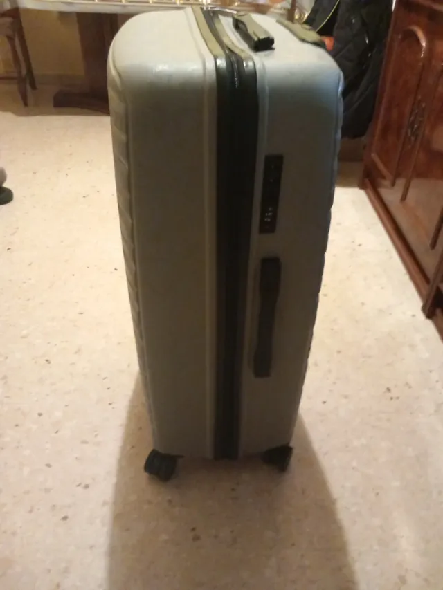 Maleta de viaje gris