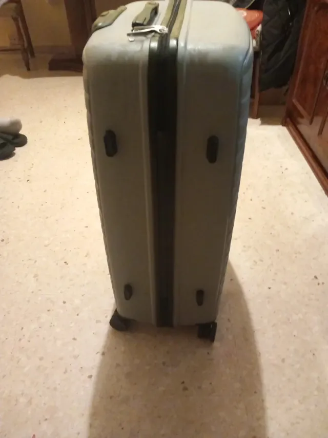 Maleta de viaje gris