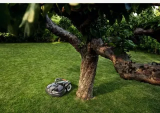 Cortacésped Husqvarna Automower 305