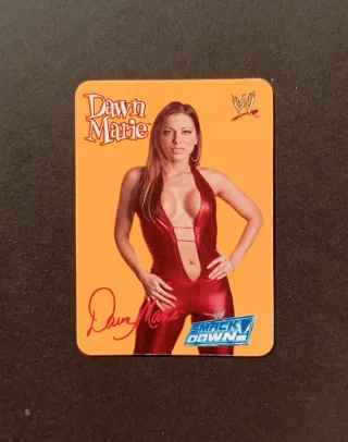 Dawn Marie - WWE 2004
