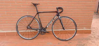 Bicicleta Carretera Focus Izalco