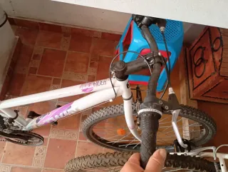 Bicicleta Montaña WildRider