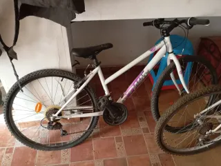 Bicicleta Montaña WildRider