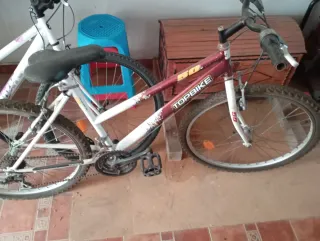 Bicicleta Montaña WildRider