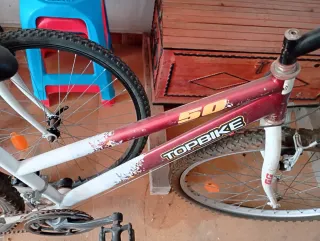 Bicicleta Montaña WildRider