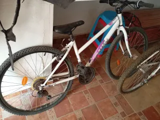Bicicleta Montaña WildRider